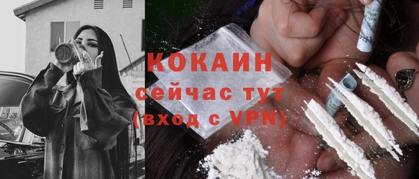 шишки Алзамай